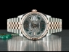 Rolex Datejust 36 Everose Jubilee Slate Roman Wimbledon - New 2021 126231